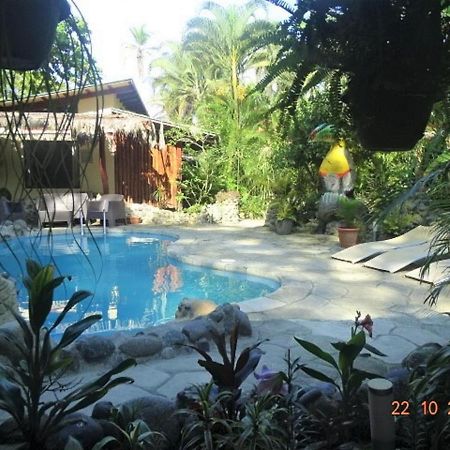 Hotel Caribbean Coconut Cahuita Luaran gambar