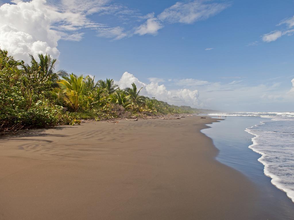 Hotel Caribbean Coconut Cahuita Luaran gambar