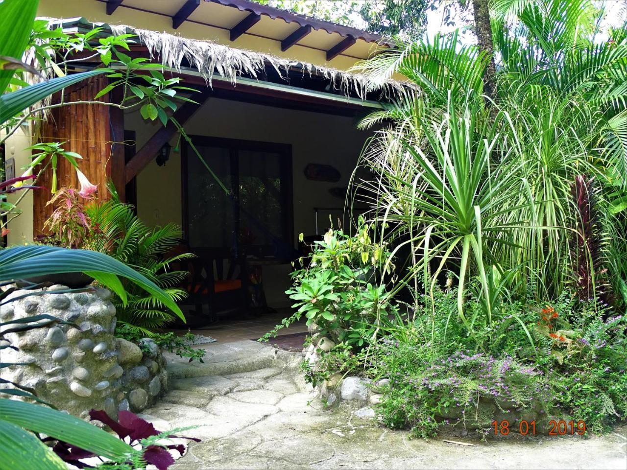 Hotel Caribbean Coconut Cahuita Luaran gambar